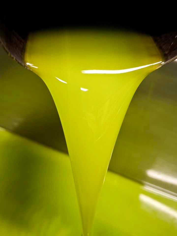 molitura olio cilento casal velino