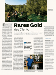 Pagina del reportage «Rares Gold des Cilento» dedicato all'Oleificio Pinto